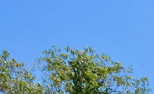 Photos And Video Of Bridge Pointe In Huntsville Al